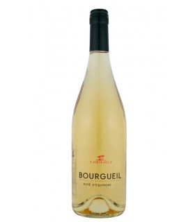 Bourgueil "Rosé d'Equinoxe" 2020 - Domaine Yannick Amirault