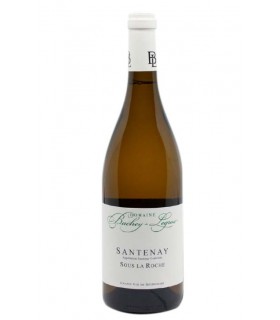 Santenay blanc "Sous La Roche" 2020 - Bachey-Legros
